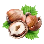 Avellanas naturales con hojas verdes utilizadas como insumos para cafetería en la elaboración de bebidas y postres